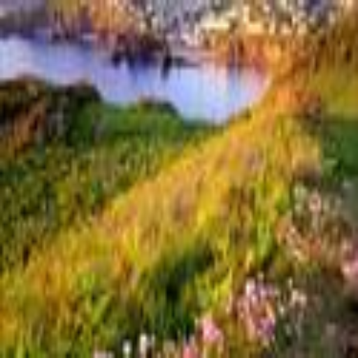 Eddy Stone Hope Cove